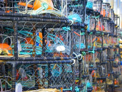 Crab Pots