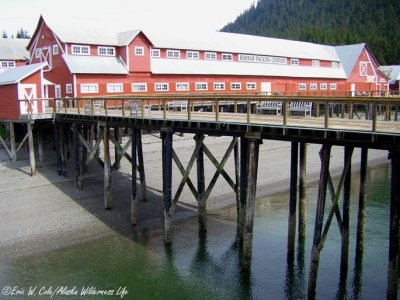 Hoonah Packing Co.