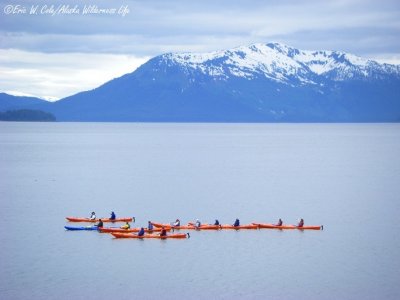 Icy Strait Kayaks