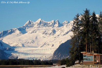 My Quiet Life Today: Big Beautiful Alaska