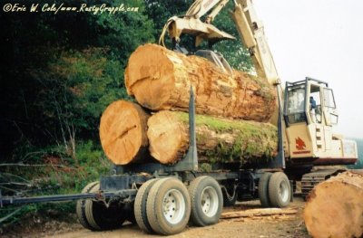 Salvage Skidder Side at Wolf Point