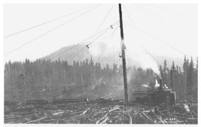 1920's- Washington Steam Skidder