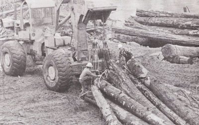  K. Bloom Logging