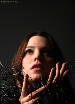 af-boa01-web.jpg