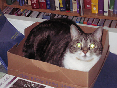 max-box-smile01.jpg