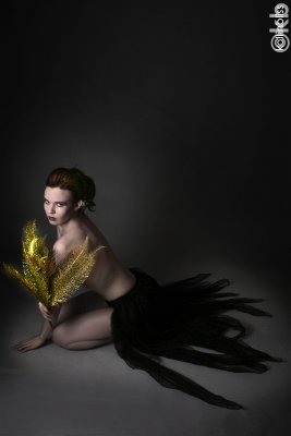 es-blackskirtgoldfern01cweb.jpg
