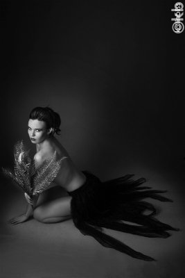 es-blackskirtgoldfern01b-bw-web.jpg