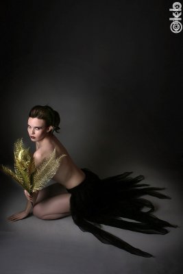 es-blkskirtgoldfern01e-web.jpg