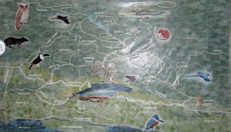 Sacha Lodge Map