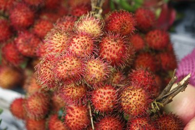 Rambutans