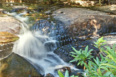 Rock Carvings, Kbal Spean River, Cambodia