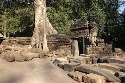 Ta Prohm