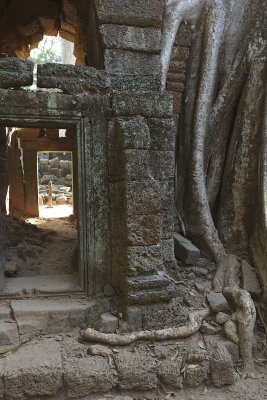 Ta Prohm