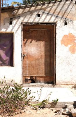 CRW_0291.jpg
