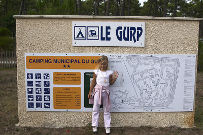 2006