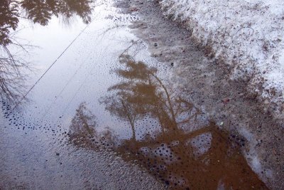 We walk the neighborhood and find oil on puddles.