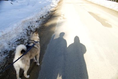 Doggie loves this weather and we are mere shadows of ourselves!