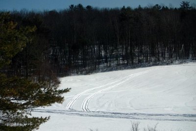 ....this too! Snowmobile tracks in field.