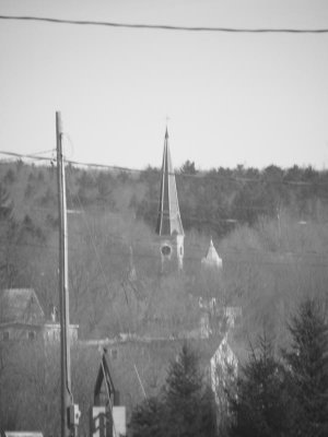 Steeple and trees in Gardiner.