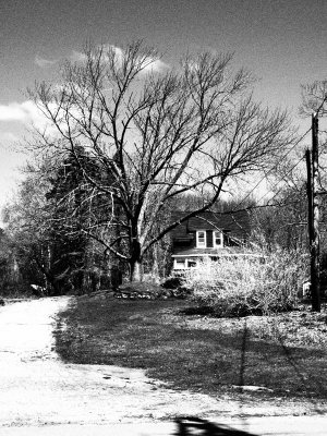 .....yards to explore.