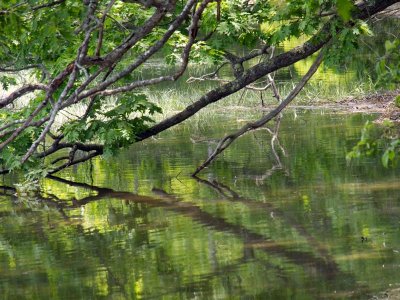 ....reflections and...