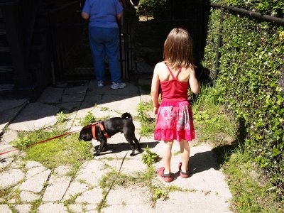 Back at home it's time to walk the doggies.