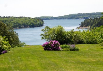 ...the Damariscotta is gorgeous in our neighborhood.
