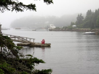 June 29: It's foggy, but the Habba is pretty wiht it's....
