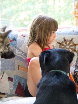 Dogs watch Lorelei snack!