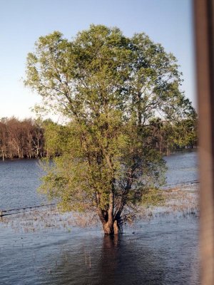 Flooding in the plains.