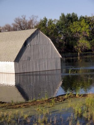 barns sit in the water...