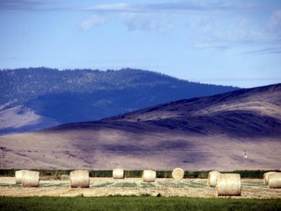 Farm on the Reservation.