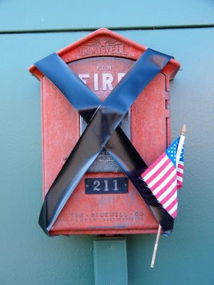 American Flag Firebox.