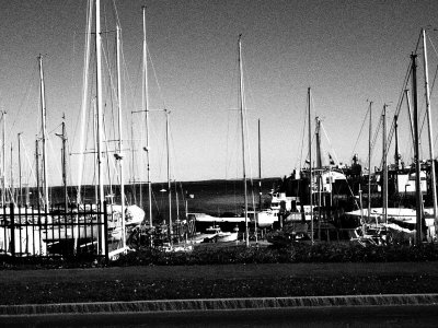 Across the street is the harbor and masts.