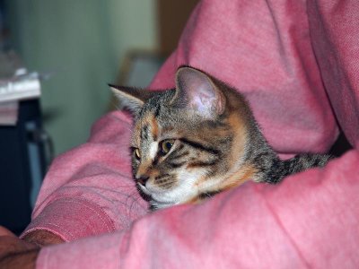 And be as cute as ever!