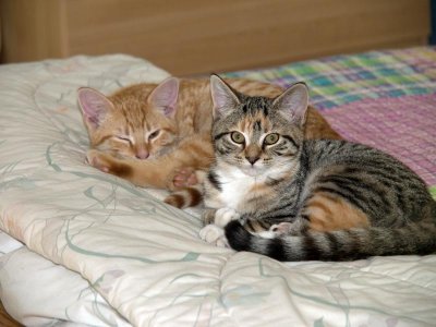 They still love each other.