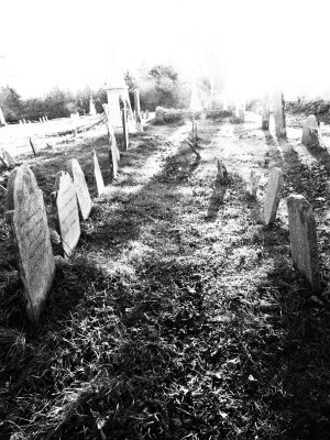 ...cemetery with many child graves.