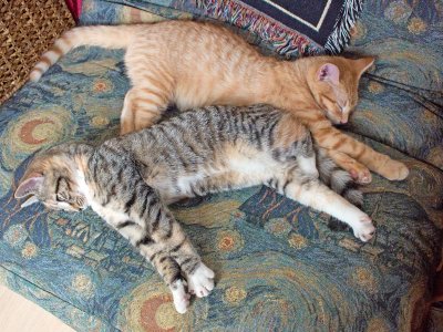 Time to stretch out!