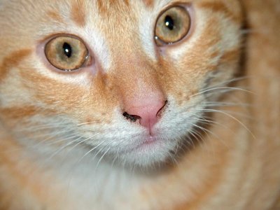 Dec. 7: Friday.....cute!!