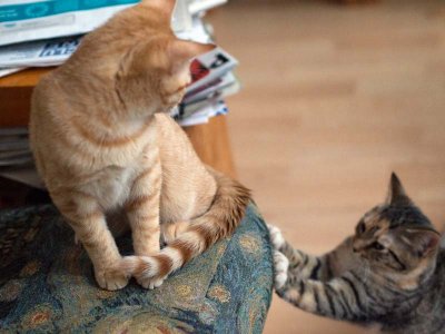 Dec. 30: Come and get me!