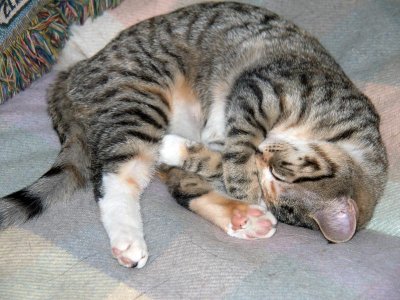 January 14: She sleeps