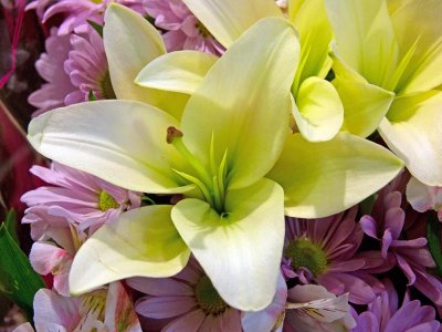 ....and Hannaford's where I can't resist the flowers.