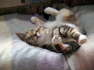 .....so cute!