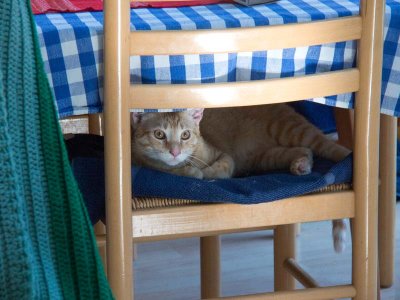 Feb 12: Friday on chair.