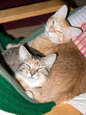 ...together w/ her brother.