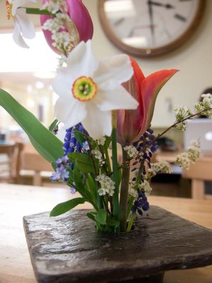 More spring flowers at Wild oats.