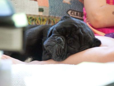 Then it's time for a nap!