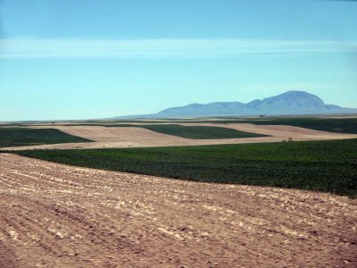 Bear Paw Mts????