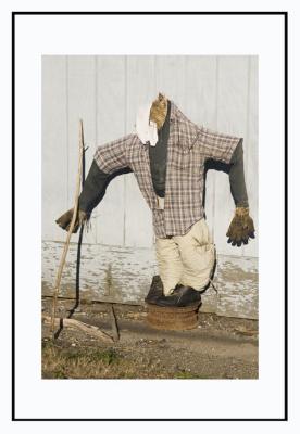 And a workingclass scarecrow join...
