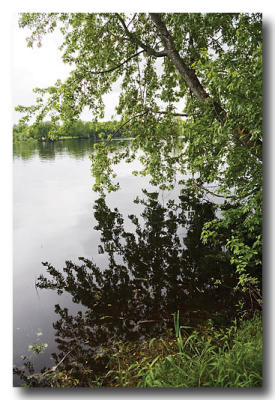 June 5: The Penobscot River from Indian Island